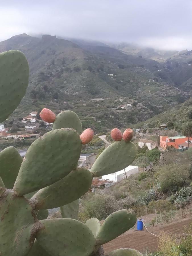 La Casa De Mario Διαμέρισμα Valsequillo Εξωτερικό φωτογραφία